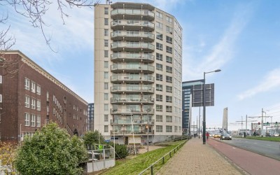 Vasteland 113