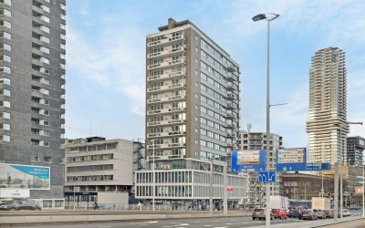 Schiedamsed. 183
