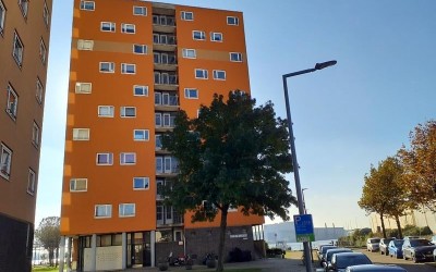 Speedwellstraat 356