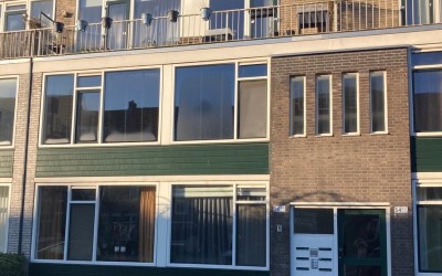Zonnebloems. 56-A