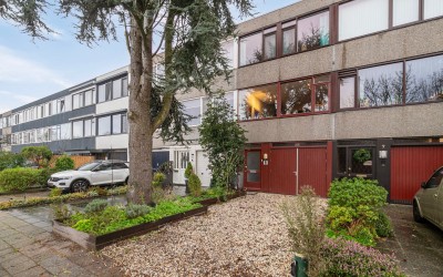 Akkerdistel 9
