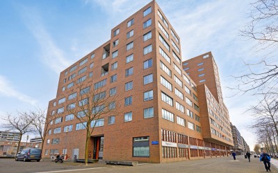 Willem Mole. 50