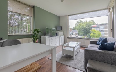 Platostraat 50