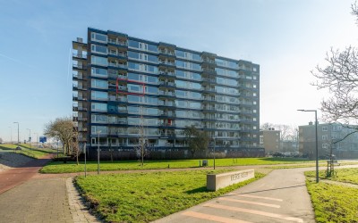 Jan Dammass. 47