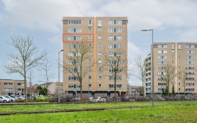 Oldegaarde 256-D