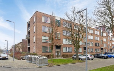 Middelharni. 211