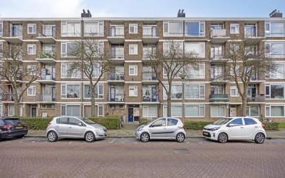 Jan van Zut. 65