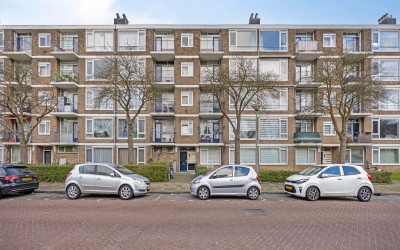 Jan van Zut. 67