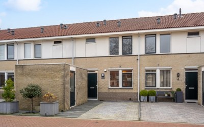 Koolzaadakk. 5