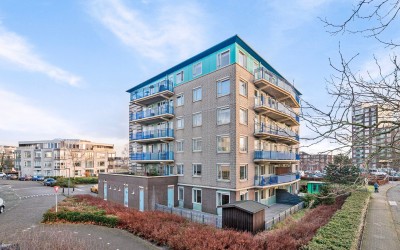 Lavendelveld 6