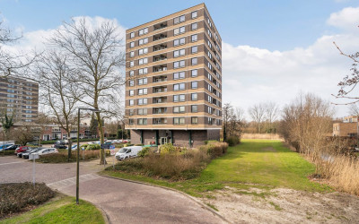 Boerhaavest. 433
