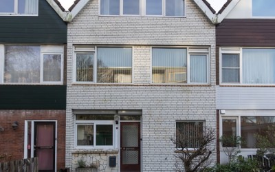 Adriaen Bro. 13