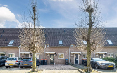Hofnar 44