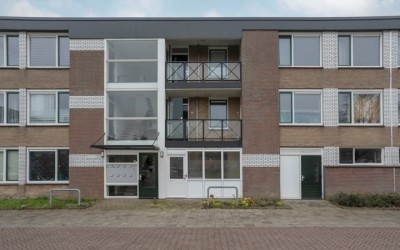 Scholekster. 90