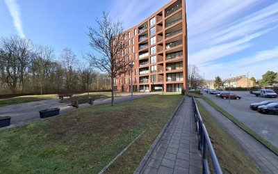 Wijnruitstr. 189