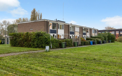 Desdemonast. 55