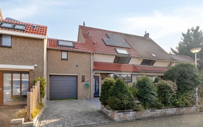 Scholekster. 4