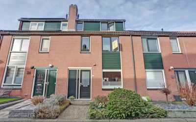 Mandarijnga. 22