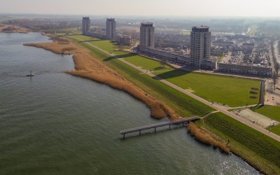Maasbouleva. 52