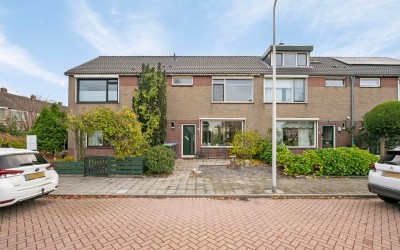 Steenhoeck 19