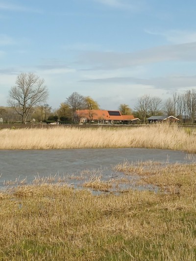 Dwarsdijk 1