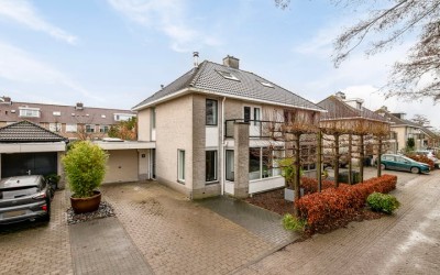 Biezengors 64