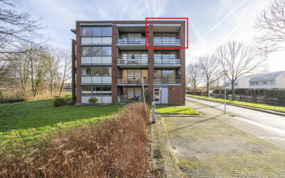 Bosweg 54