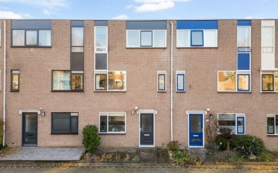 Goudplevier 33