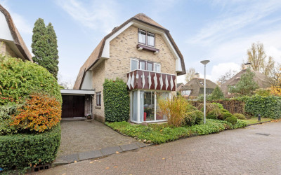 Eksterweg 52