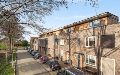 Maassingel 104