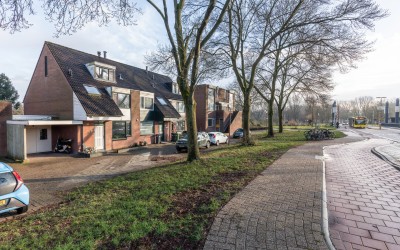 Scholekster 2
