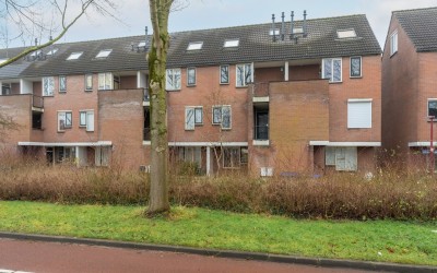 Druivegaarde 21