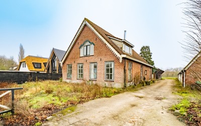 Reinesteijn. 2