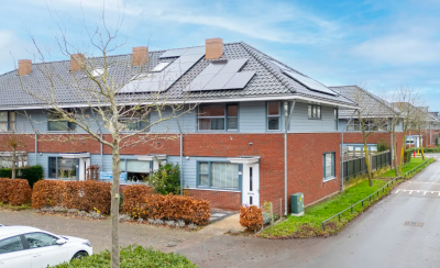 Teunisbloem. 47