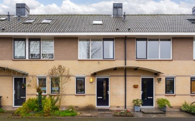 Wolkendek 50