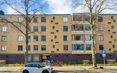 Van Bijnker. 307