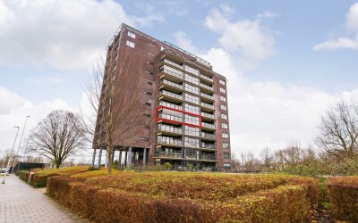 Cervantesla. 39
