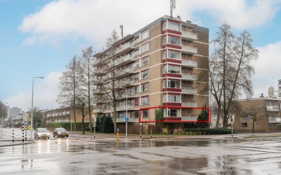 Molengraaff. 29