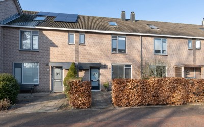 Aartseveen 87