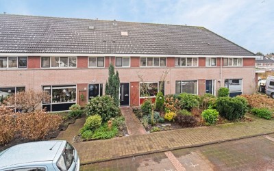 Winterkoning 7
