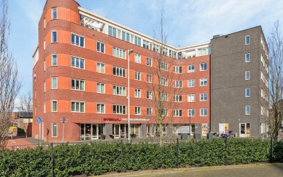 Piet Mondri. 247
