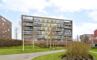Forel 322