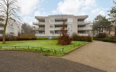 Constantijn. 3