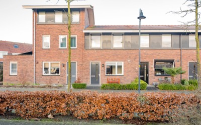 Tijgervlinder 4