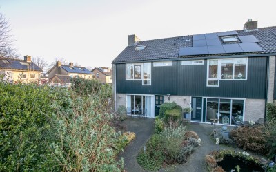 Ridderspoor 33