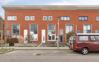 Zwarte Specht 48