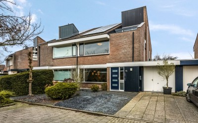 De Dorsvloer 11