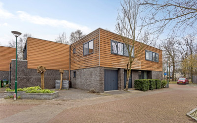 Franjezwam 17