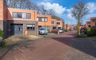 Satijnzwam 7