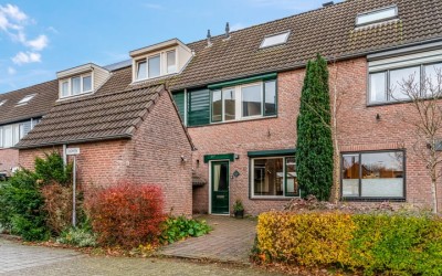 Jasmijn 61